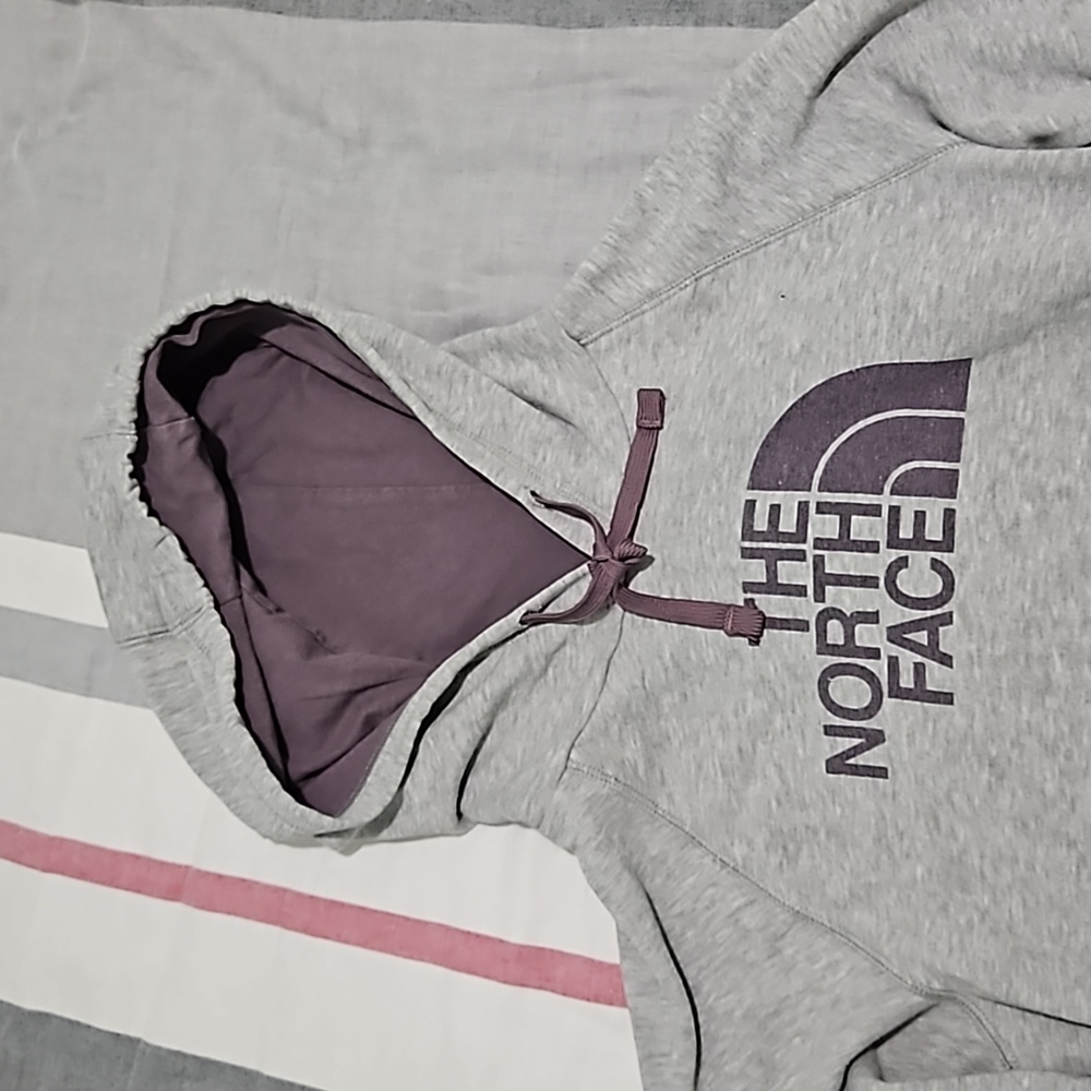 The North Face Logo Hoodie